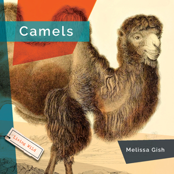 Library Binding Camels Book