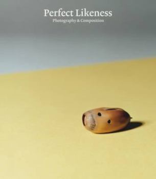 Hardcover Perfect Likeness: Photography & Composition Book