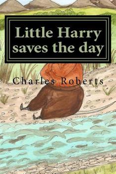 Paperback Little Harry saves the day Book