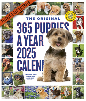 Calendar 365 Puppies-A-Year Picture-A-Day(r) Wall Calendar 2025 Book