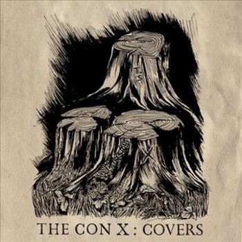 Vinyl Con X: Covers Book