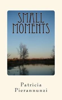 Paperback Small Moments Book