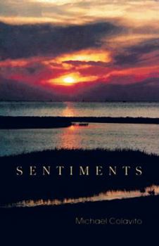 Paperback Sentiments Book