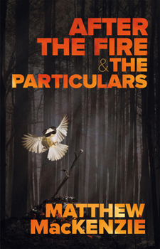 Paperback After the Fire & the Particulars Book