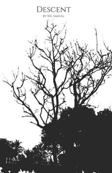 Paperback Descent: Photopoetry Book