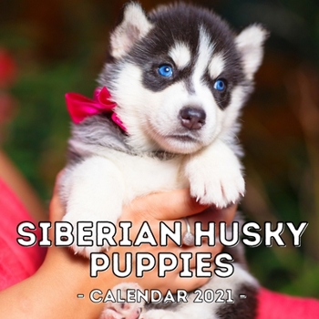 Paperback Siberian Husky Puppies Calendar 2021: 16-Month Calendar, Cute Gift Idea For Siberian Husky Lovers, Women & Men Book