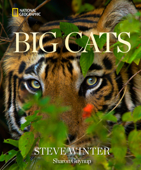 Hardcover Big Cats Book