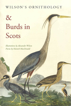 Paperback Wilson's Ornithology & Burds in Scots Book