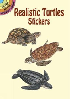 Paperback Realistic Turtles Stickers Book