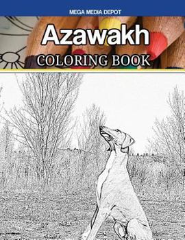 Azawakh Coloring Book