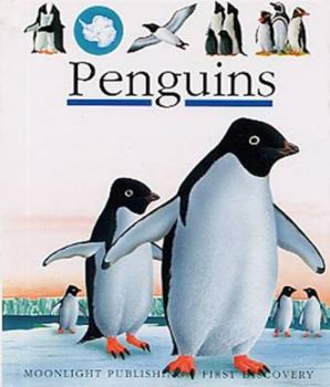 Spiral-bound Penguins Book