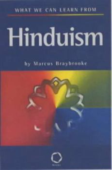 Paperback What We Can Learn from Hinduism (What We Can Learn from) Book