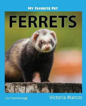 My Favorite Pet: Ferrets
