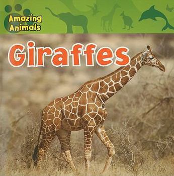 Giraffes - Book  of the Amazing Animals
