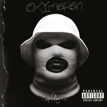 Vinyl Oxymoron (2 LP)(Explicit) Book