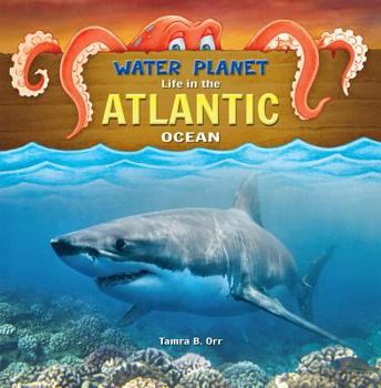 Hardcover Atlantic Ocean Book