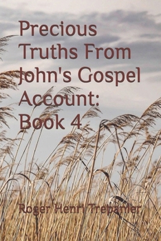 Precious Truths From John's Gospel Account: Book 4