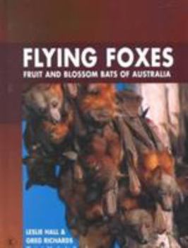 Hardcover Flying Foxes: Fruit and Blossom Bats of Australia Book