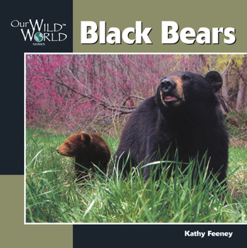 Paperback Black Bear Book