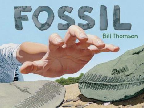 Hardcover Fossil Book