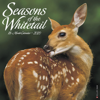 Calendar Seasons of the Whitetail 2020 Wall Calendar Book