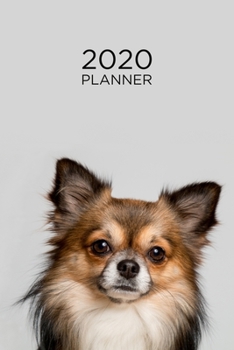 Paperback Planner: 2020 diary: Increase productivity, improve time management, reach your goals: Chihuahua dog: Modern artistic photograp Book