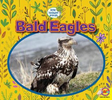 Paperback Bald Eagles Book