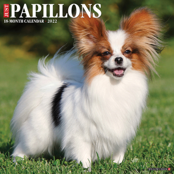 Calendar Just Papillons 2022 Wall Calendar (Dog Breed) Book