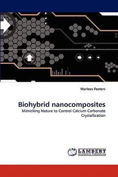 Paperback Biohybrid nanocomposites Book