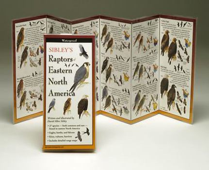 Pamphlet Sibley's Raptors of Eastern N.A. Book