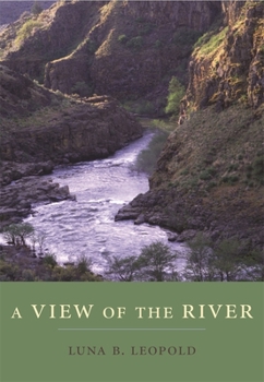 Paperback A View of the River Book