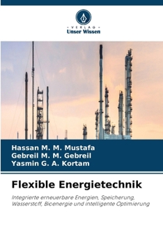 Flexible Energietechnik (German Edition)