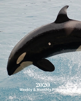 Paperback 2020 Weekly and Monthly Planner: Black and White Orca Whale - Monthly Calendar with U.S./UK/ Canadian/Christian/Jewish/Muslim Holidays- Calendar in Re Book