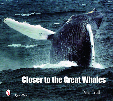 Paperback Closer to the Great Whales Book