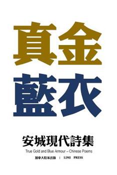 Paperback True Gold and Blue Armour Book