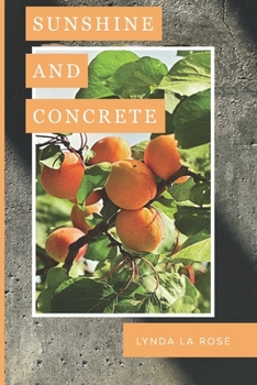 Paperback Sunshine and Concrete Book
