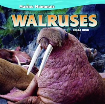 Paperback Walruses Book