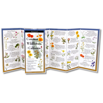 Misc. Common Wildflowers of California Book