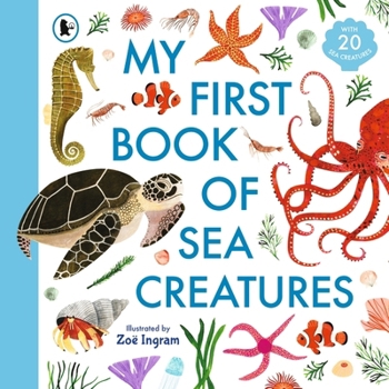 Paperback My First Book of Sea Creatures (Zoe Ingram's My First Book of...) Book