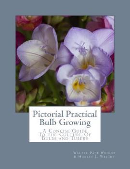 Paperback Pictorial Practical Bulb Growing: A Concise Guide To the Culture Of Bulbs and Tubers Book