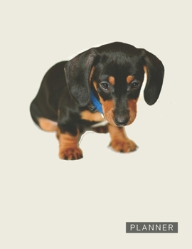 Paperback Planner: Cute Little Dachshund 2 Year Monthly Planner with Note Pages (24 Months) - Jan 2020 - Dec 2021 - Month Planning - Appo Book