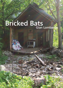 Paperback Bricked Bats Book