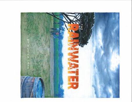 Paperback The Rainwater Secret Book