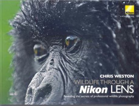 Wildlife Through a Nikon Lens: Revealing the Secrets of Professional Wildlife Photography
