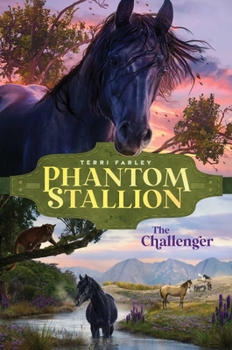 Hardcover The Challenger Book
