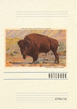 Paperback Vintage Lined Notebook Greetings from Idaho Springs Book