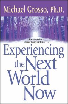 Paperback Experiencing the Next World Now Book