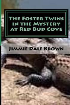 Paperback The Foster Twins in the Mystery at Redbud Cove: The Mysterious Ring Book