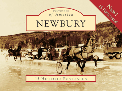 Loose Leaf Newbury Book