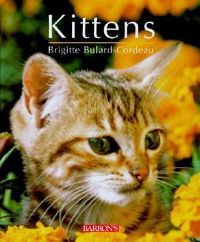Hardcover Kittens: From Before Birth to Adulthood Book